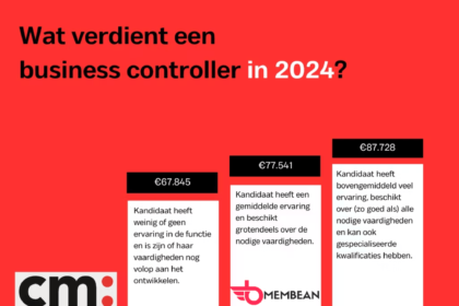 wat doet een business controller