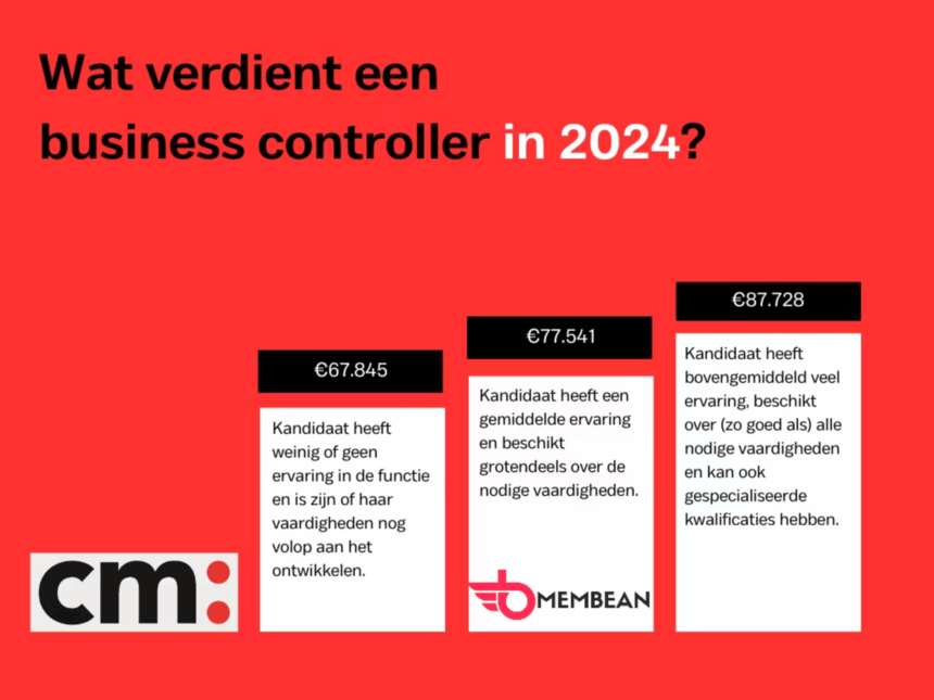 wat doet een business controller