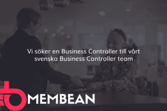 business controller